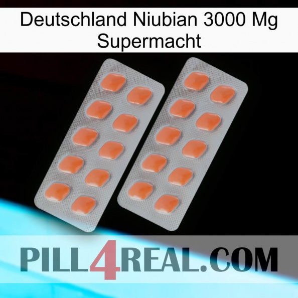 Germany Niubian 3000 Mg Superpower 27.jpg